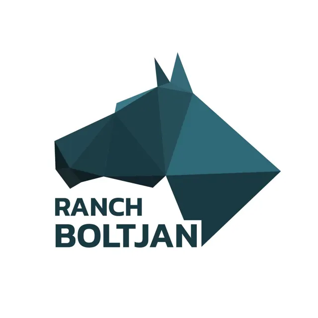 Oblikovanje logotipa
